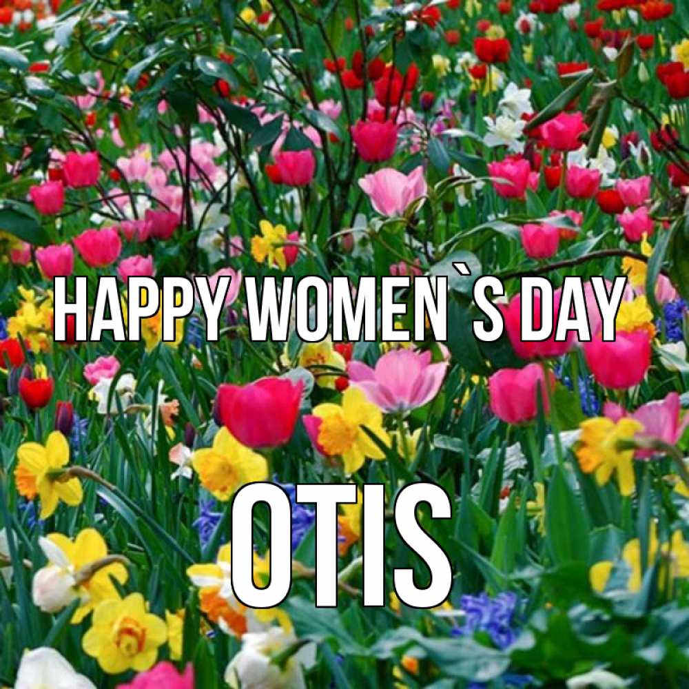 Greetings card с именем, Otis happy women`s day с международным женским днем поздравления для женщины Greetings with text for free download 